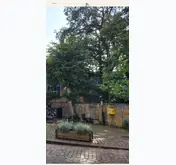 Kleine Seitenvorschau von gleisweiler.de