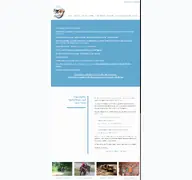 Kleine Seitenvorschau von klein-rohe.de