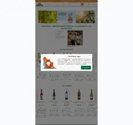 Kleine Seitenvorschau von vindoro.de