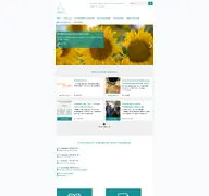 Kleine Seitenvorschau von kirchenregion-soehlde.de