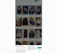 Kleine Seitenvorschau von vinted.de