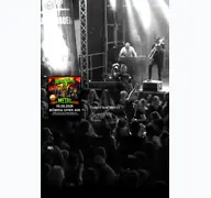 Kleine Seitenvorschau von boebing-openair.de