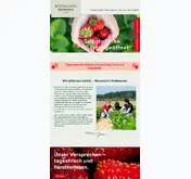 Kleine Seitenvorschau von boeckmannerdbeeren.de