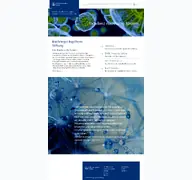 Kleine Seitenvorschau von boehringer-ingelheim-stiftung.de