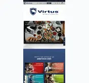 Kleine Seitenvorschau von virtusnet.de