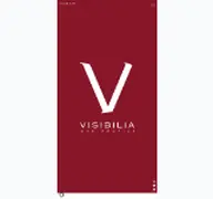 Kleine Seitenvorschau von visibilia.de