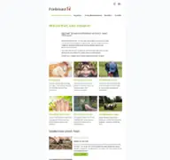 Kleine Seitenvorschau von klimaschutz-und-inklusion.de
