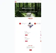 Kleine Seitenvorschau von fjpengan.com