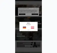 Kleine Seitenvorschau von rvca.at