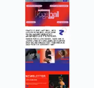 Kleine Seitenvorschau von vogelball.de