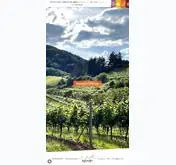 Kleine Seitenvorschau von birkweiler.de