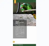 Kleine Seitenvorschau von vogelburg.de