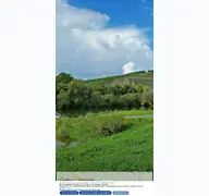 Kleine Seitenvorschau von gasthof-weininsel.de