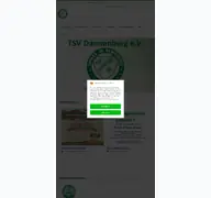 Kleine Seitenvorschau von tsv-dannenberg.de