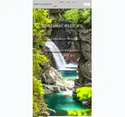 Kleine Seitenvorschau von rofflaschlucht.ch