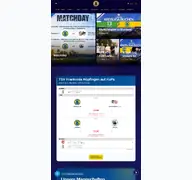 Kleine Seitenvorschau von tsv-hoepfingen.de