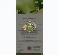 Kleine Seitenvorschau von pilzmuseum.at