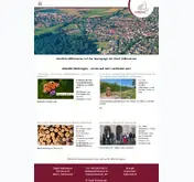 Kleine Seitenvorschau von volkmarsen.de