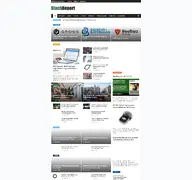 Kleine Seitenvorschau von blachreport.de