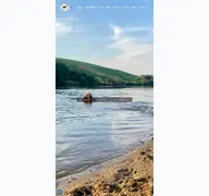 Kleine Seitenvorschau von lagotto-wasserhunde.de