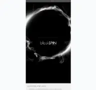Kleine Seitenvorschau von black-spin.de