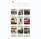 Kleine Seitenvorschau von v-partei.de
