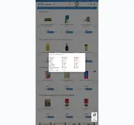 Kleine Seitenvorschau von rzonlinehandel.at