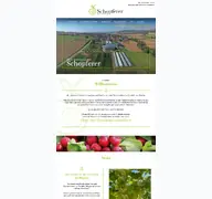 Kleine Seitenvorschau von obst-gemuesehof-schopferer.de