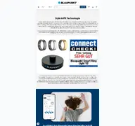 Kleine Seitenvorschau von blaupunkt-ring.de