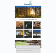 Kleine Seitenvorschau von blauwald.de