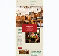 Kleine Seitenvorschau von zum-bruennstein.de