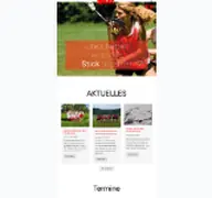 Kleine Seitenvorschau von blax.de