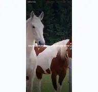 Kleine Seitenvorschau von stimmenderpferde.de