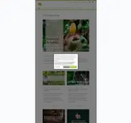 Kleine Seitenvorschau von blog.forestfinance.de