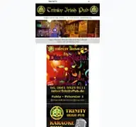Kleine Seitenvorschau von trinitypub.de