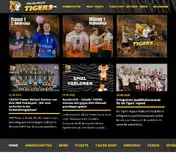 Kleine Seitenvorschau von waiblingen-tigers.de