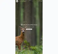 Kleine Seitenvorschau von waldholz.de