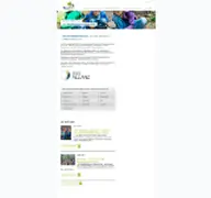 Kleine Seitenvorschau von waldkindergarten.nes-allianz.de