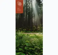 Kleine Seitenvorschau von wald-klima-park.de