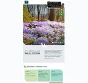 Kleine Seitenvorschau von wallduern.de