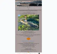 Kleine Seitenvorschau von wallercamp.de