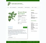 Kleine Seitenvorschau von praxis-oliverborrmann.de