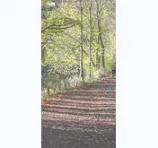 Kleine Seitenvorschau von rursee-marathon.de