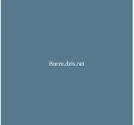 Kleine Seitenvorschau von dzis.net