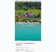 Kleine Seitenvorschau von obergasser.at