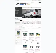 Kleine Seitenvorschau von fahrwerk-profi.de
