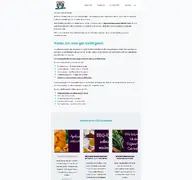 Kleine Seitenvorschau von kuechenkoala.de
