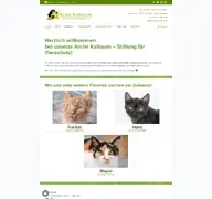 Kleine Seitenvorschau von arche-kanaum.de