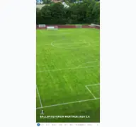 Kleine Seitenvorschau von bvwerther.de