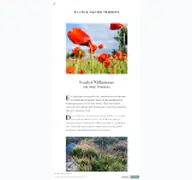 Kleine Seitenvorschau von kultur-natur-temnitz.de